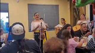 Sufriendo A Solas #MariachiDeMiRancho sung by Brenda Smith *no rights to music