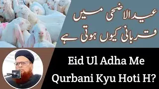 Eid Ul Adha Me Qurbani Kyu Ki Jati H? (Mufti Taqi Usmani Sahab) @IttihadwIttifaq