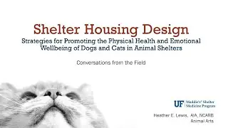 Shelter Housing Design with Heather Lewis