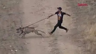 VideoSabino FELIZ Y PROSPERO  AÑO 2026