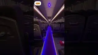 Book Brand New 43 Seater Bharat Benz Bus On Rent In Delhi, Gurugram & Noida For Outstation tour