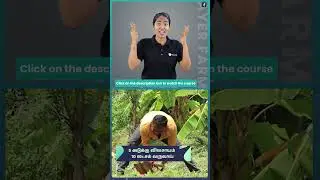 5 Layer Farming Course Trailer in Tamil | ffreedom app