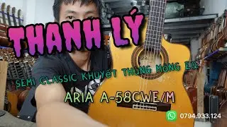CLEARANCE SALE: Classic Aria A 58CWE/M Slim Box Amplifier with EQ Cutout | Great Price