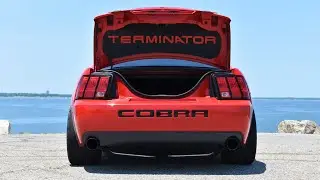 Installing a GDM trunk lid mat on the cobra