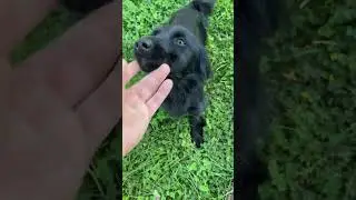 Guarda chi c&rsquo;&egrave; !