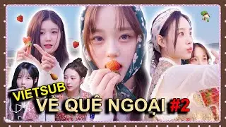 VIETSUB NXT Glow Về Qu&ecirc; Ngoại Tập 2 tripleS | H&aacute;i D&acirc;u Hay Đi Chợ C&ugrave;ng Mochiz