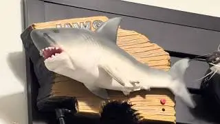 My singing fish