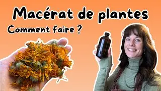 Comment faire un mac&eacute;rat huileux de plantes ? (m&eacute;thode &agrave; froid)