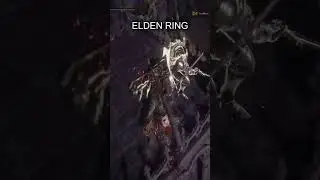 ELDEN RING underground roadside