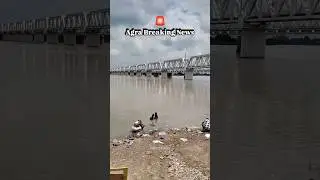Yamuna River 🚨 News Alert ⚠️ Agra #flood #yamuna #agranews #yamunanews #shorts #