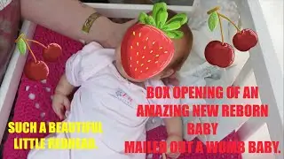 BEAUTIFUL REBORN BABY BOX OPENING.OOPS I DID IT AGAIN😉1ST REDHEAD❤️SENDING WOMB REBORN BABY HOME❤️