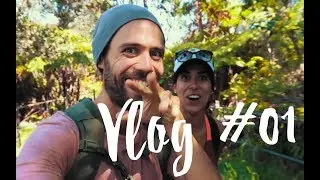 Best Hikes in Hawaii? Hawaii Volcano National Park! (VLOG #01)