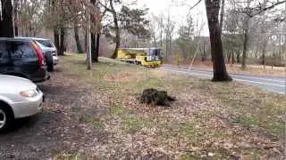 THACKRAY All Terrain Crane & Flatbed Truck