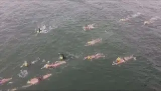 A group of athletes swam across the US-Mexico border for human rights awareness