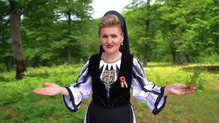 Elena Bălan - Iar mă vorbesc prietenii (2024)