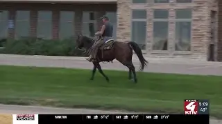 How one man’s ride down Hamilton Blvd helps train his horse, and serves as stress relief