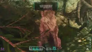 Raiding online crouch bridge cave Ragnarok MESA