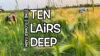 Ed&Mel make Hay┃Ten Lairs Deep┃Zone 3 Flower Farm