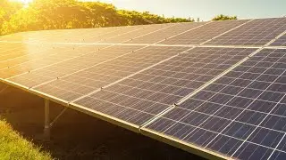 Here's how a Memphis solar farm is leading the switch to renewable energy