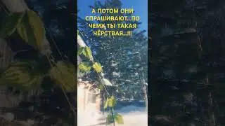 А ПОТОМ ОНИ СПРАШИВАЮТ, ПОЧЕМУ ТЫ ТАКАЯ....⁉️⁉️⁉️