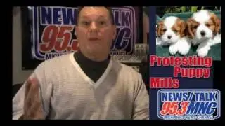 Protesting Puppy Mills.wmv