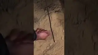 kudai karana sa nekala sona