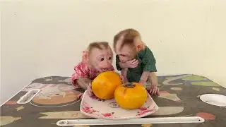 OH Gezzzz..!! Greedy Ronaldo Rush To Eat Fruit Till Selena Sad & W0rry