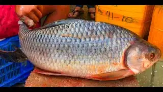 Fastest Live Rohu Fish Cutting And Chopping By Fishmonger At Bangladesh Fish Market