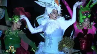 FOGUERA  SANT BLAI   LA TORRETA  XXX CERTAMEN ARTÍSTICO  FOGUERES DE SAN JOAN 2017