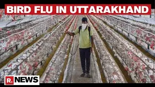 Uttarakhand Becomes 10th State To Confirm Cases Of Bird Flu