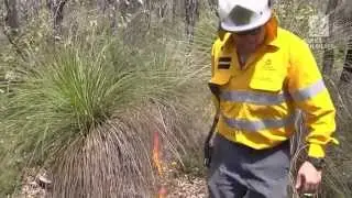 4. Evidence for prescribed burning