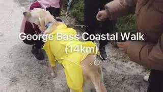 George Bass Coastal Walk (14km)