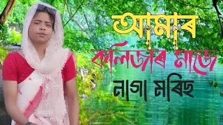 আমাৰ কলিজাৰ মাজে নাগা মৰিছ