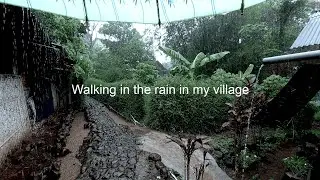Relaxing Walk in the Rain, an Umbrella and a Village Scene for Sleep and Relaxation | ASMR