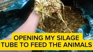 SUCCESSFUL OPENING OF A SILAGE TUBE