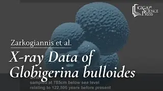 X-ray tomographic micropaleontological data of planktonic foraminifera species Globigerina bulloides