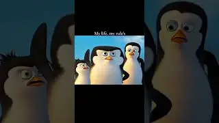 Sad penguin 🐧 😞 The journey from 2007 to 2026 #missyou#sad#waytomountain