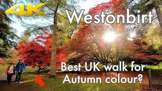 Westonbirt National Arboretum 🍁Cotswolds AUTUMN Fall Walk Through | Virtual Walking Tour in 4K POV 🍂