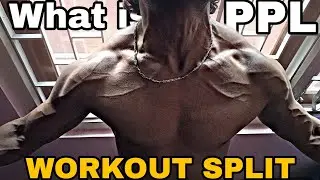 Push Pull Legs explained in just 1 min |Workout Routine| Home workout #gym #bodybuilding