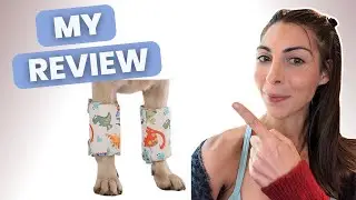 Честный отзыв о бандаже для лап Lovin Pet для моей старой собаки.