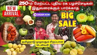 250 -க்கும் மேற்பட்ட இதுவரைக்கும் பார்க்காத புதிய ரக பழச்செடிகள் -டுக்கு லாங் ஸ்டார்ட் ,சலக் பழம்