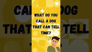 Smart Bouy's Laugh Break FS11: Hilarious Riddles That'll Reel You In! #funny #riddles #laugh #fun
