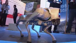 Robots, AI and healthcare line up at Vivatech