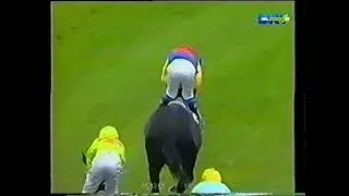 Avondale NZ : Gold Cup & Concorde Stks Wed 8 Dec 2001
