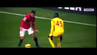 robin van persie 2015.