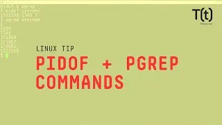 How to use the pidof and pgrep commands: 2-Minute Linux Tip