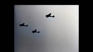 Video of the actual reset . Found on dark web.