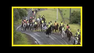 Horse riders stage march for road safety