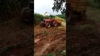 &Eacute; os guri. Os brutos no barro.