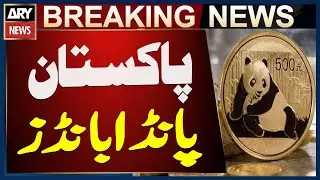 Pakistan Plans to Issue Panda Bonds in January or February 2026